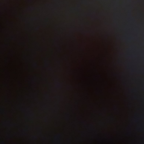 Meet your Posher, Will - Picture 1 of 1